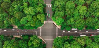 TPHCM: Những con đường rợp bóng cây xanh che mát trong mùa nắng nóng