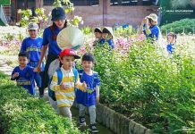 Tour tìm về thiên nhiên hút du khách nhỏ tuổi trong dịp du lịch hè