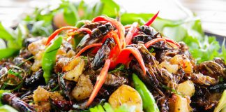 Về Tri Tôn thử vị béo ngậy của dế chiên nước mắm
