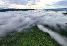 Ngắm ‘biển mây’ trên đèo Violak