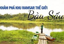 Cắt sóng vào Bàu Sấu ngắm cá sấu ở Đồng Nai