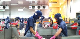 Doanh nghiệp nhỏ Việt Nam tăng trưởng cao nhất kể từ năm 2019