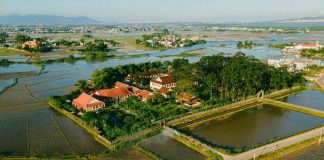 Bình Định miễn phí vé tàu hỏa cho hơn 1.100 du khách