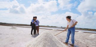 Du lịch Bạc Liêu có thể ‘mặn mà’ hơn nhờ muối
