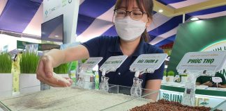 Việt Nam sẽ là nước nhập khẩu gạo lớn thứ hai thế giới