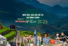 Khởi động cuộc bình chọn ‘Top 7 Ấn tượng Việt Nam’ 2025