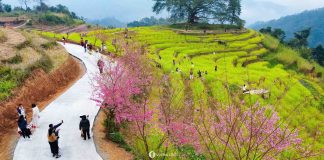 Hòa Bình đón hơn 3 triệu lượt khách trong nửa đầu năm 2025