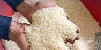 Giá gạo Việt Nam chạm mức cao nhất trong tám tháng do nguồn cung thu hẹp