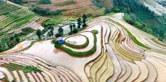 Leo 100 thửa ruộng, săn mùa nước đổ ở Mù Cang Chải