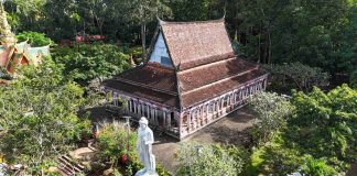 Thăm chùa cổ Cành Đa, nơi có cây thị hơn 700 tuổi ở Vĩnh Long