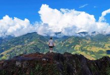 Ngắm mùa vàng từ ‘sống lưng khủng long’ ở Lào Cai