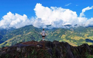 Ngắm mùa vàng từ ‘sống lưng khủng long’ ở Lào Cai