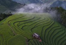 Ngày mới trên ‘võng lúa’ Sáng Nhù ở Lào Cai