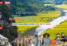 Mời bạn đọc tham gia bình chọn ‘Top 7 Ấn tượng Việt Nam 2025’