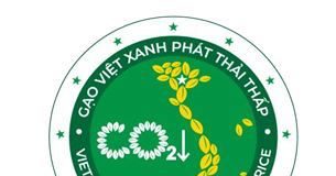 Gạo Việt xanh phát thải thấp: đo thế nào để khỏi ‘xanh miệng’?
