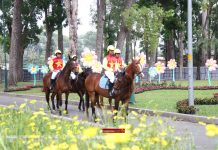 Hội hoa xuân Tao Đàn rực rỡ mở màn, đêm nào cũng có diễu hành