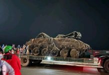 Xe tăng ‘ngủ quên’ dưới cát biển Quy Nhơn bất ngờ lộ diện